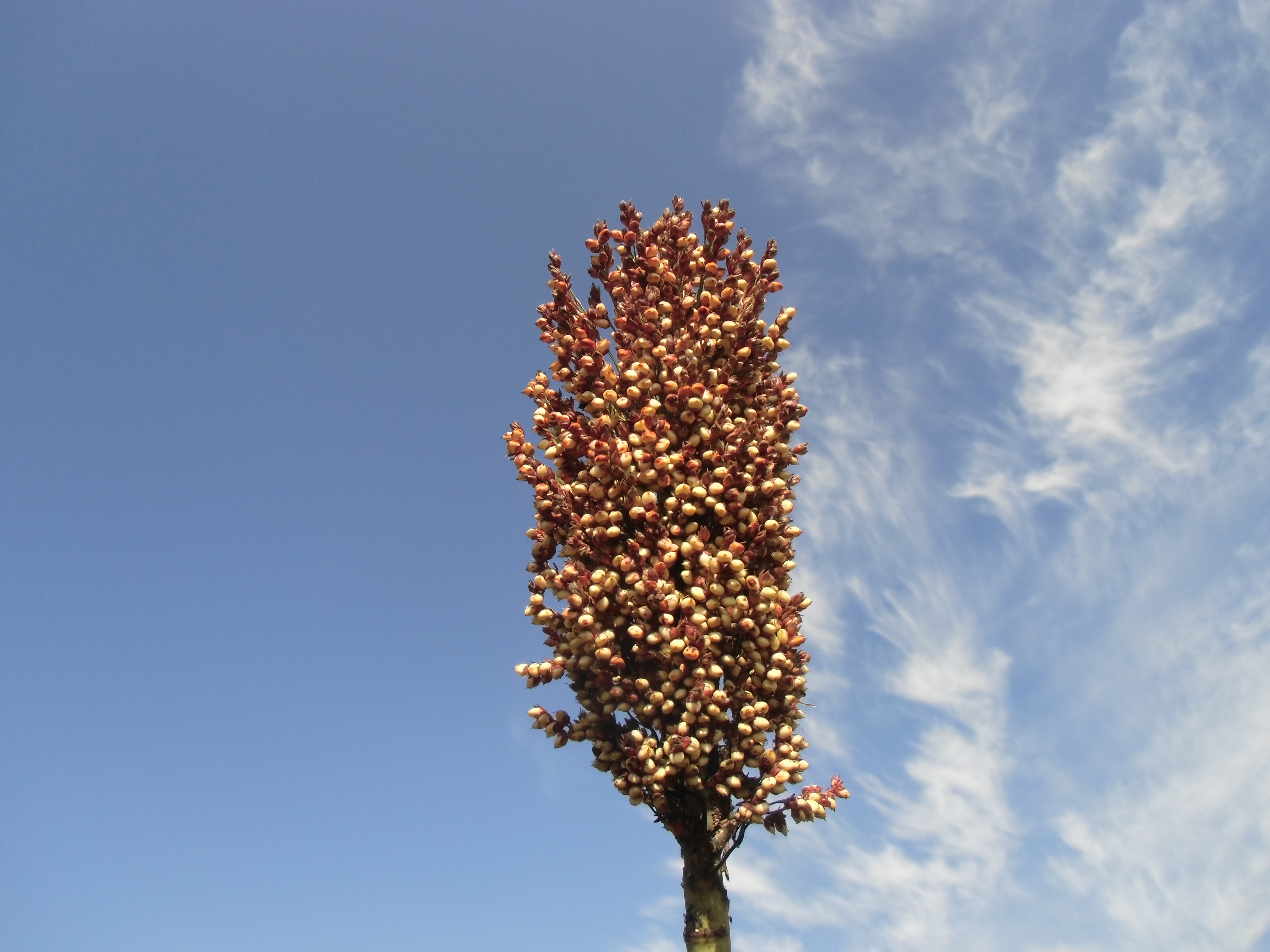 数据库中未找到相应图片