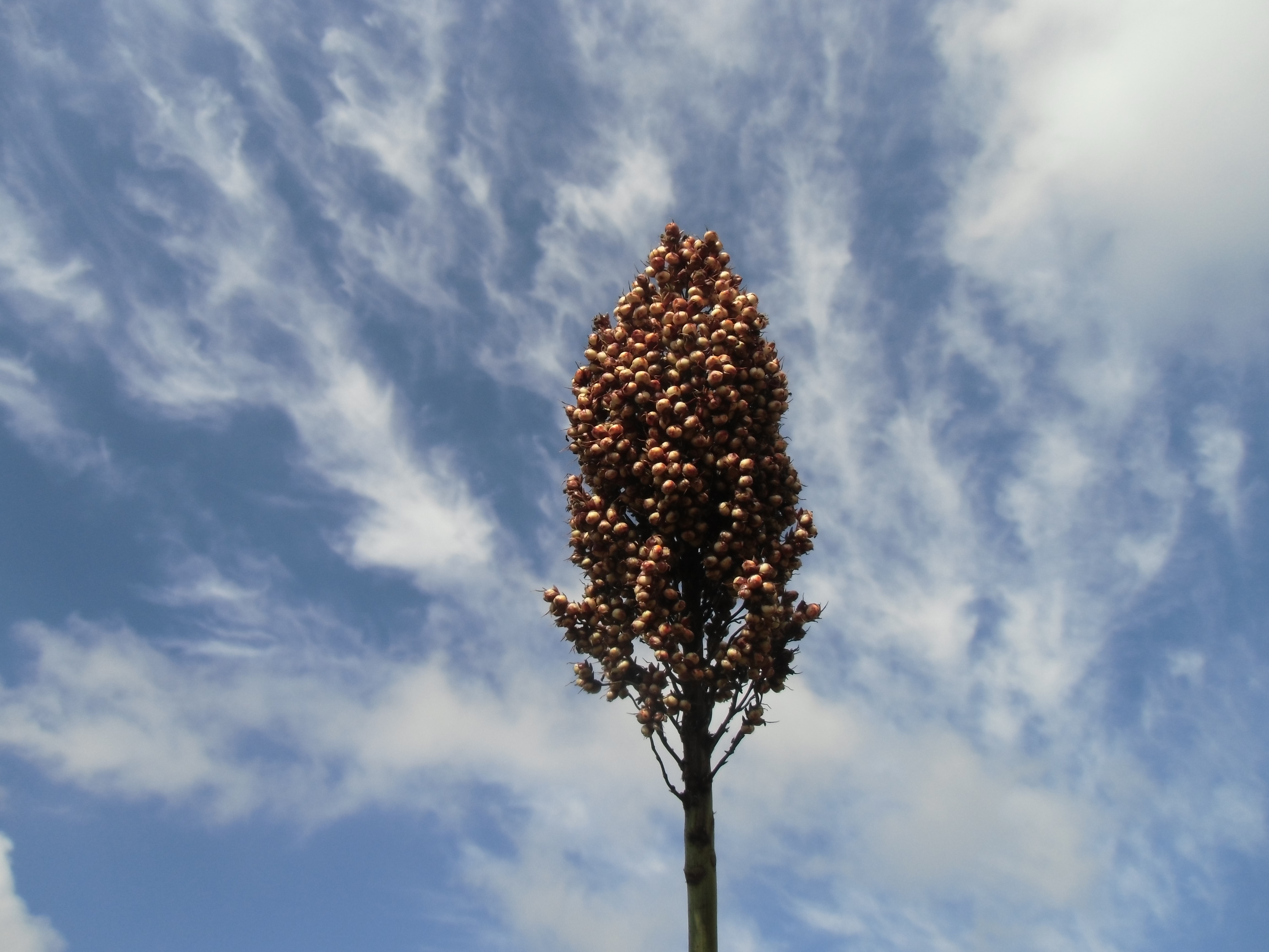 数据库中未找到相应图片
