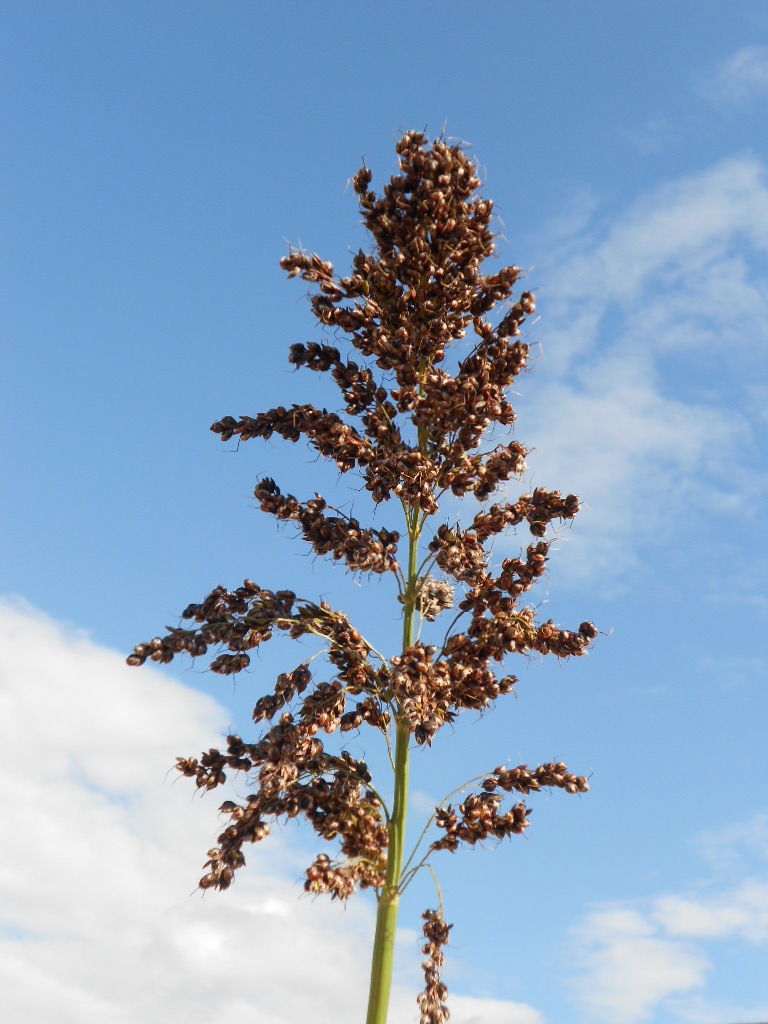 数据库中未找到相应图片