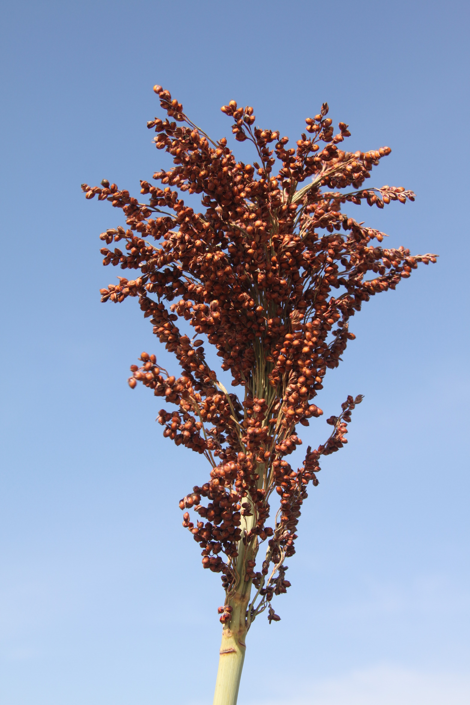 数据库中未找到相应图片