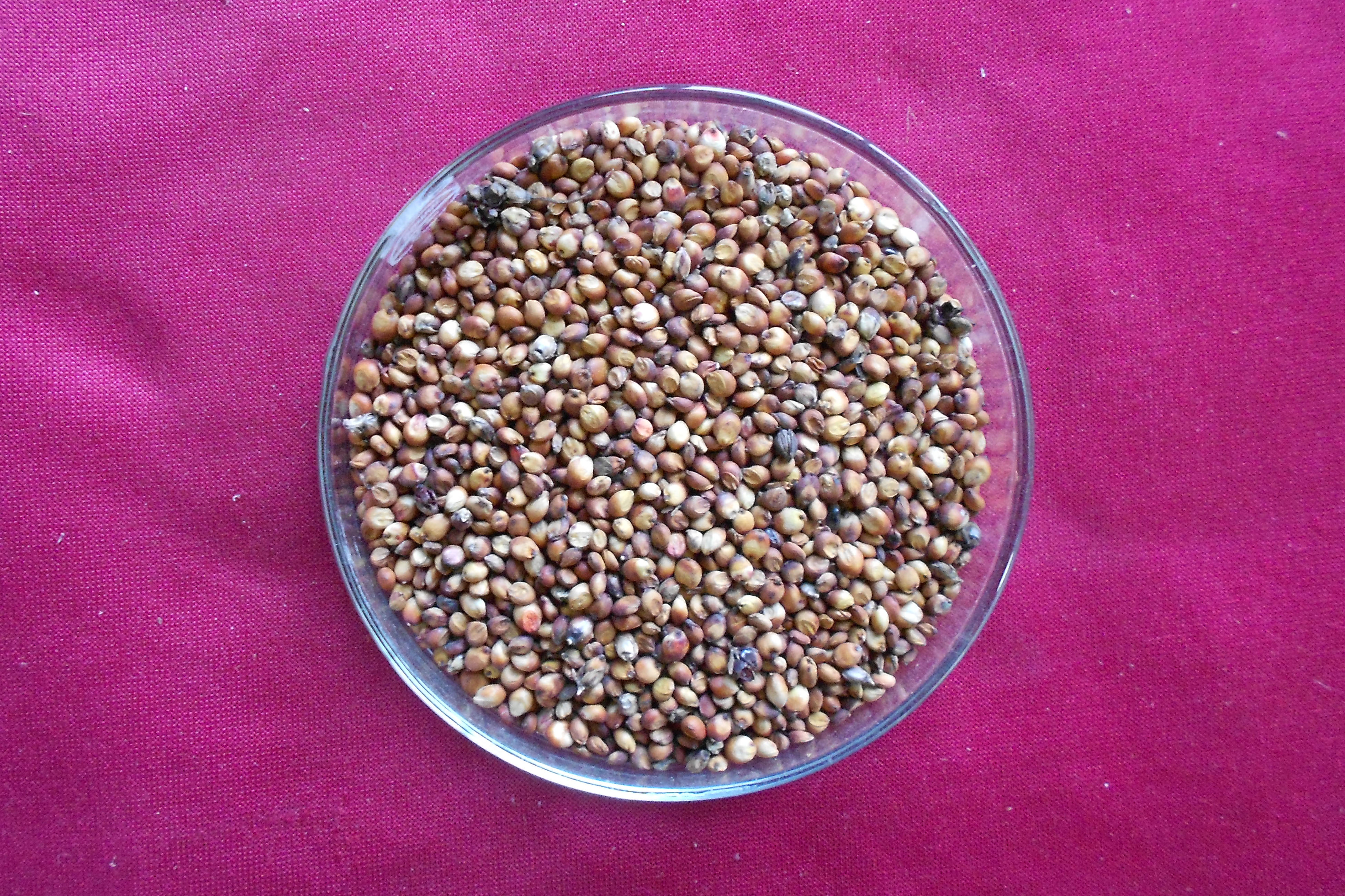 数据库中未找到相应图片