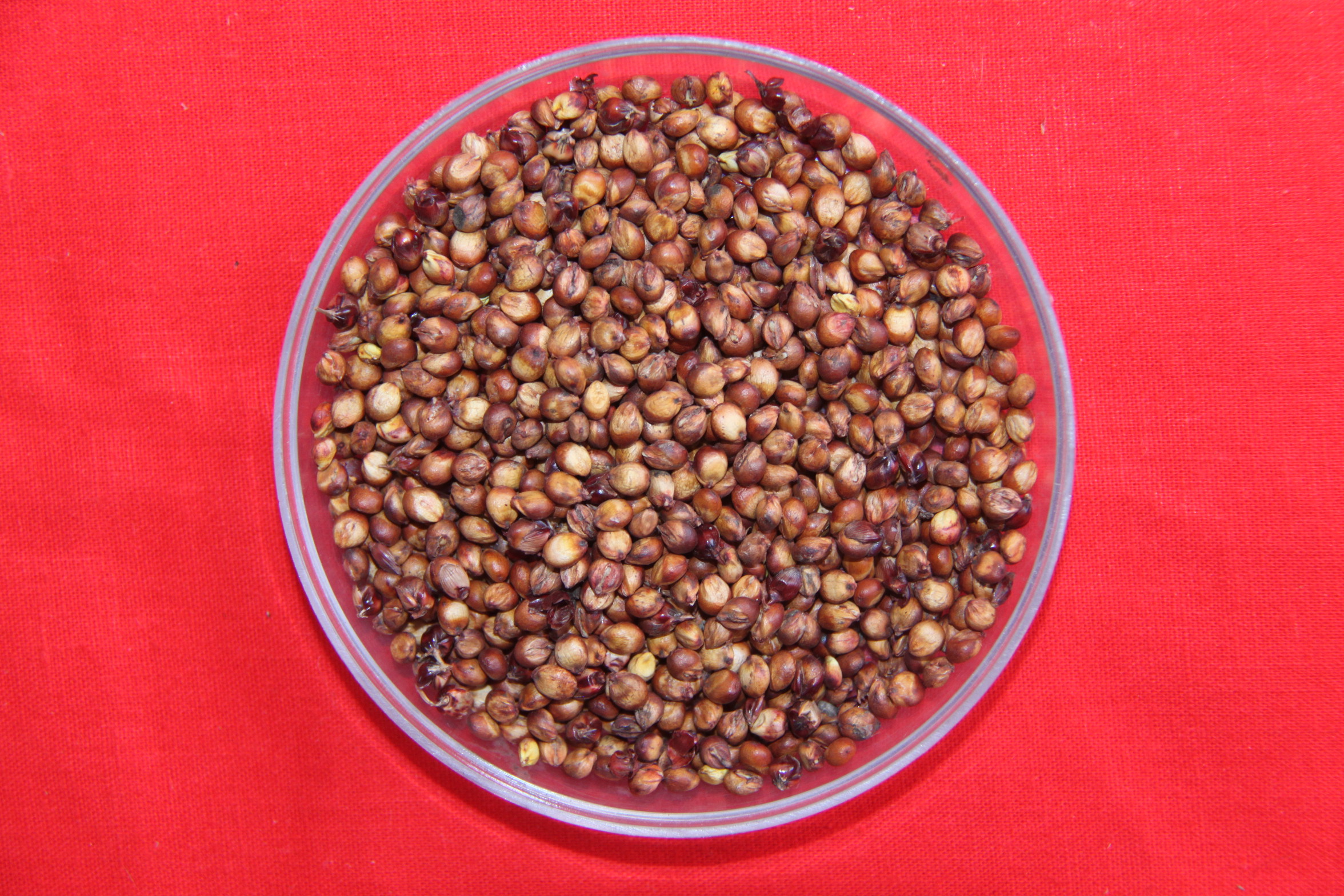 数据库中未找到相应图片