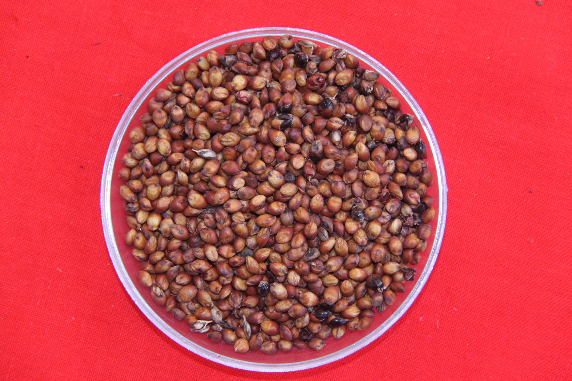 数据库中未找到相应图片