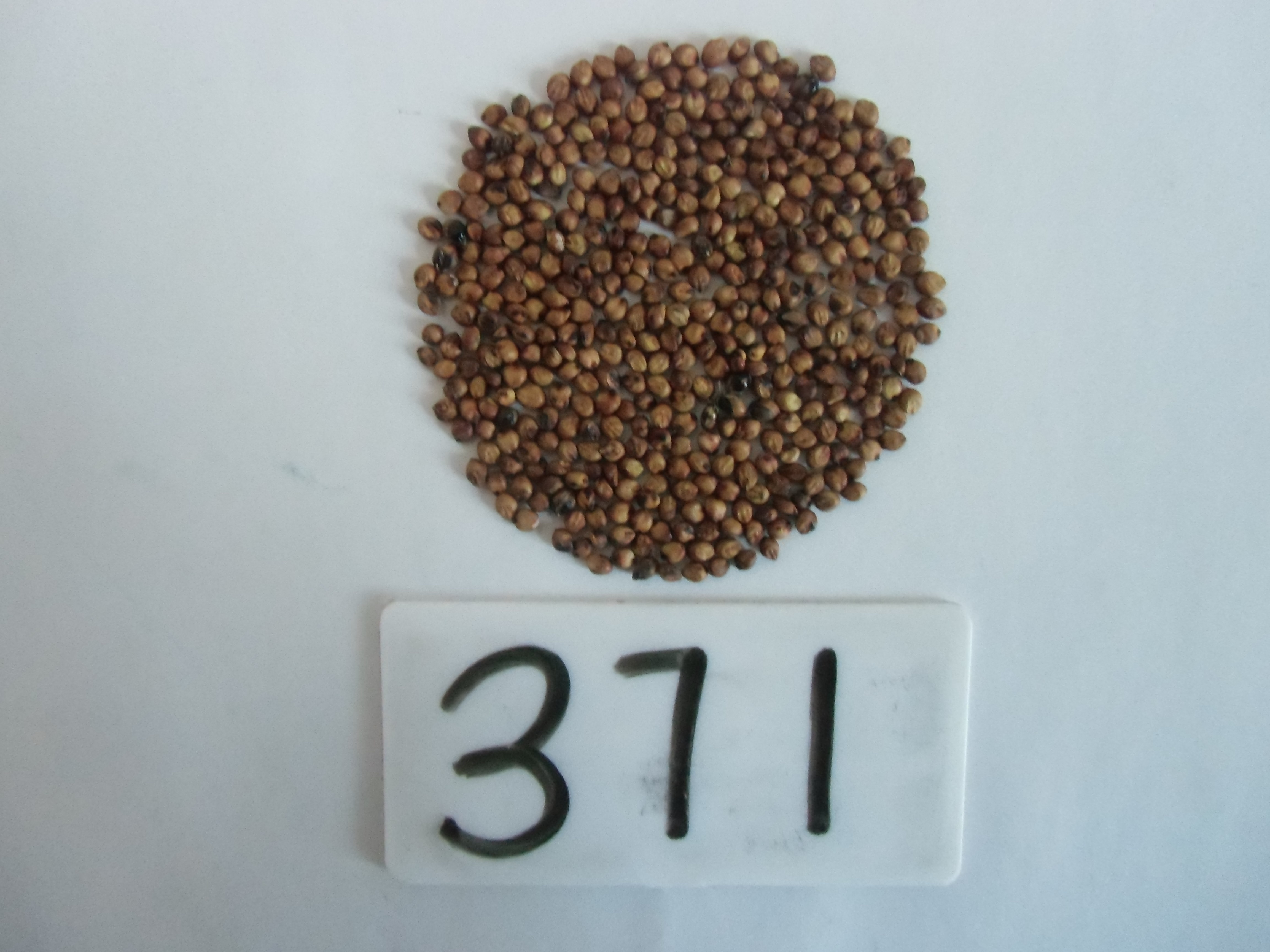 数据库中未找到相应图片