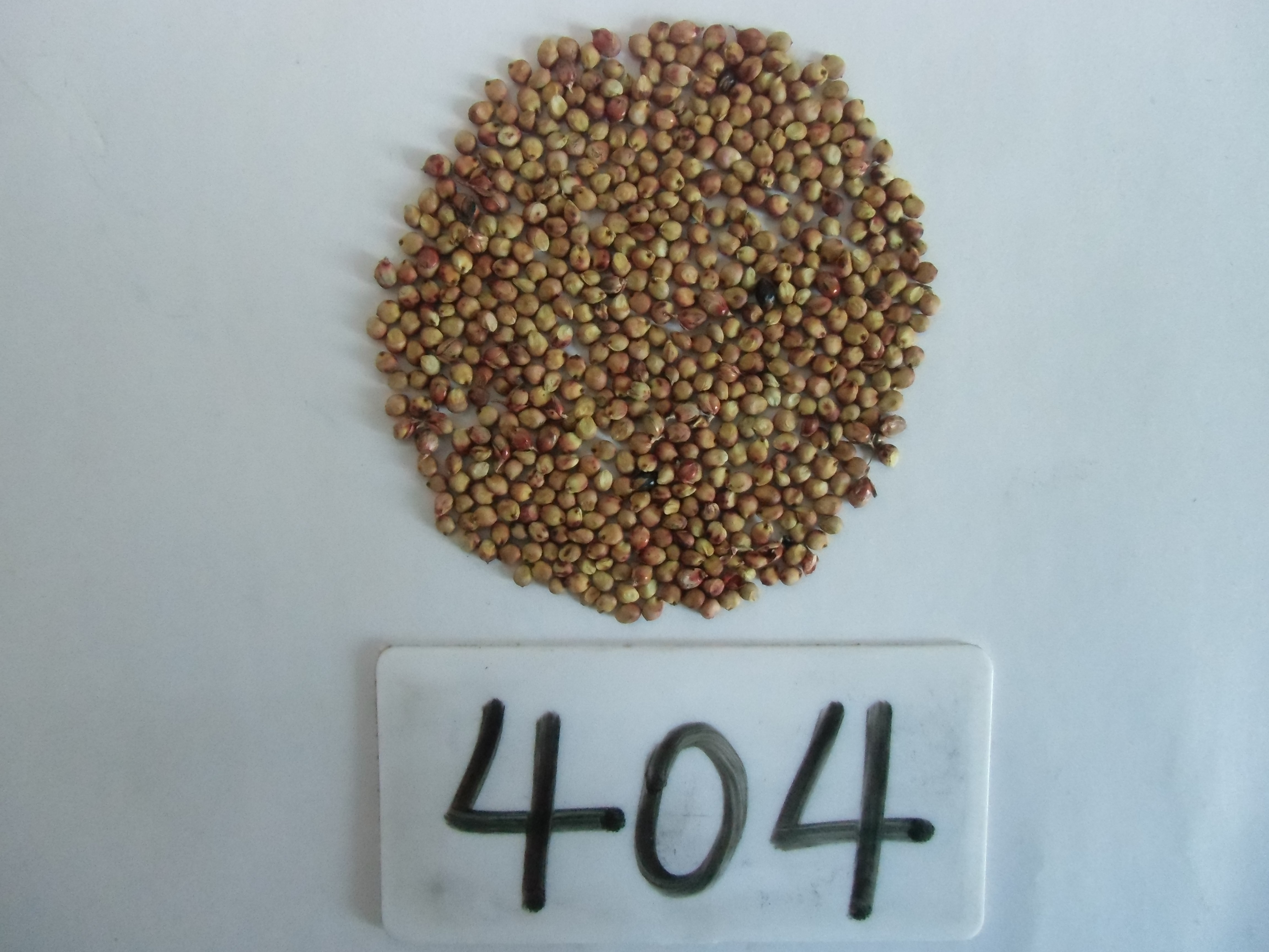 数据库中未找到相应图片