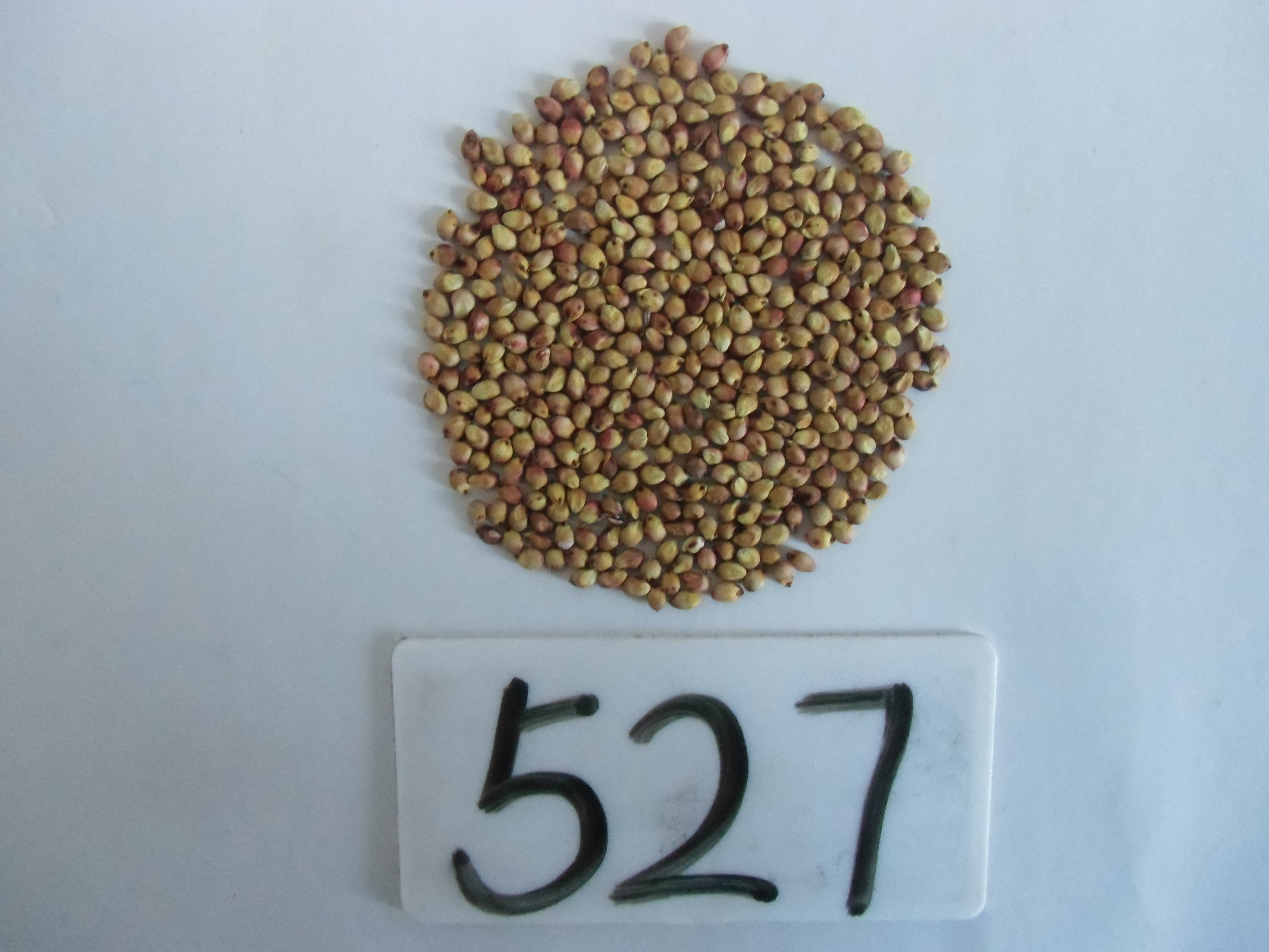 数据库中未找到相应图片