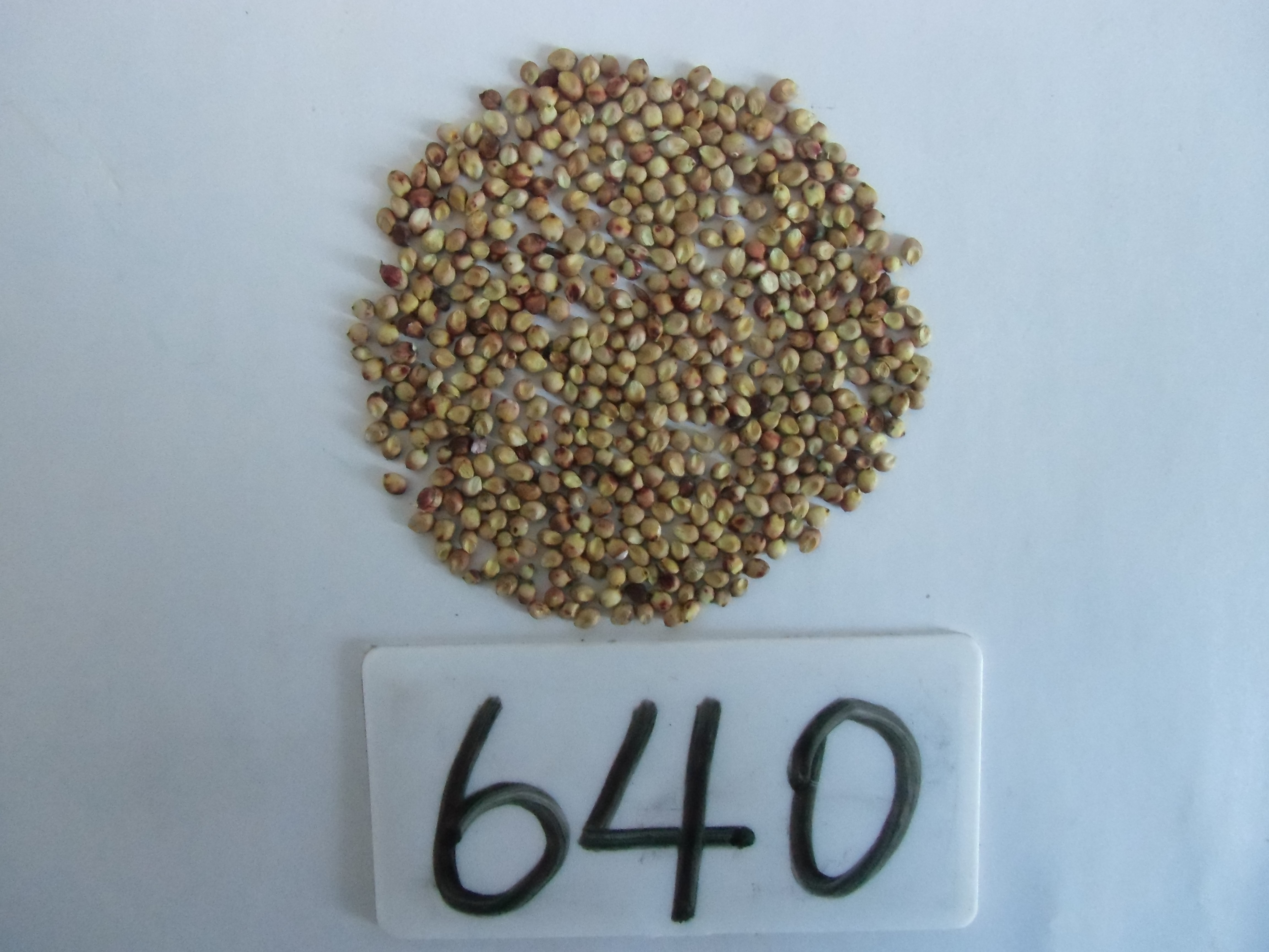 数据库中未找到相应图片