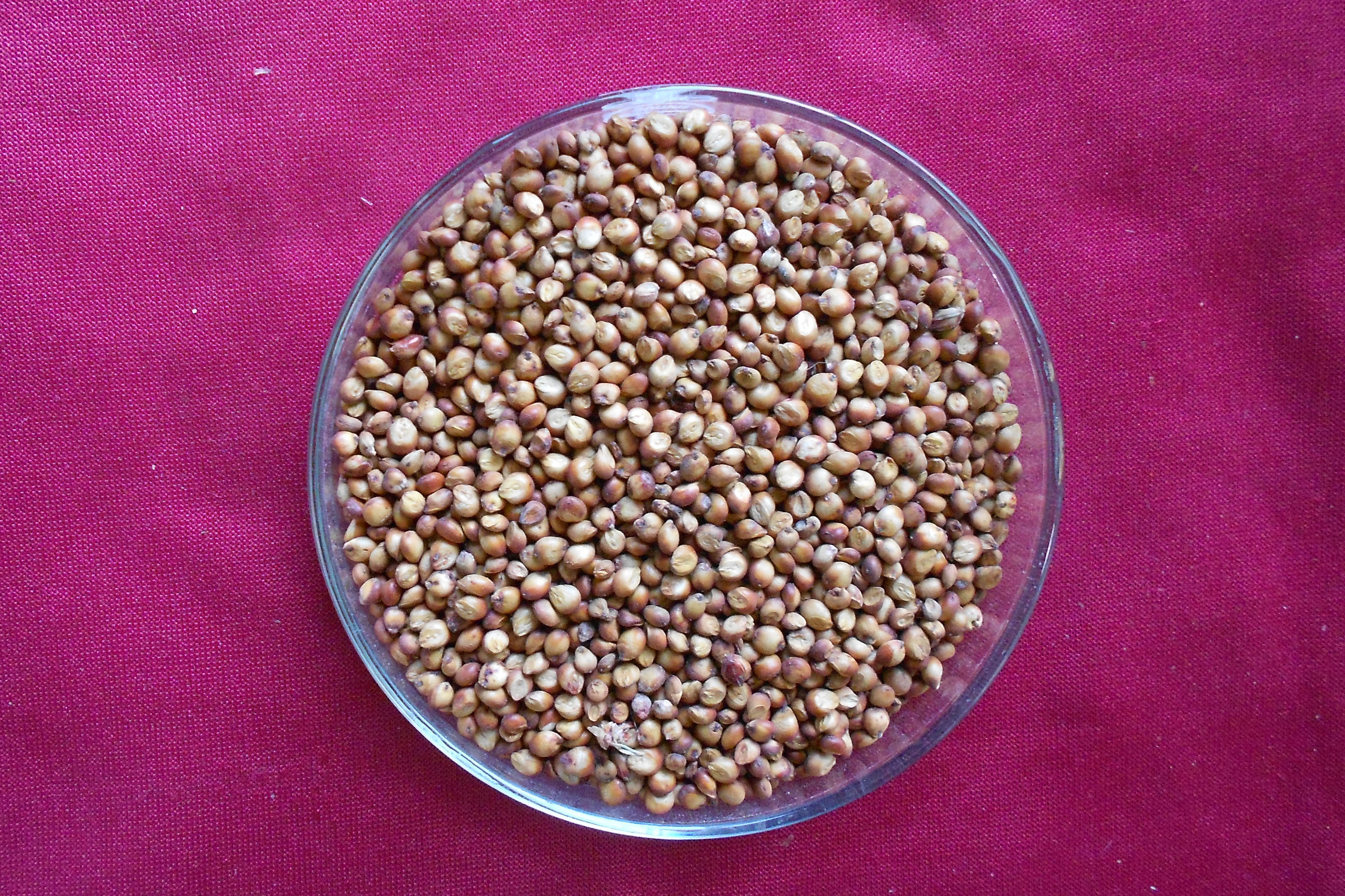 数据库中未找到相应图片