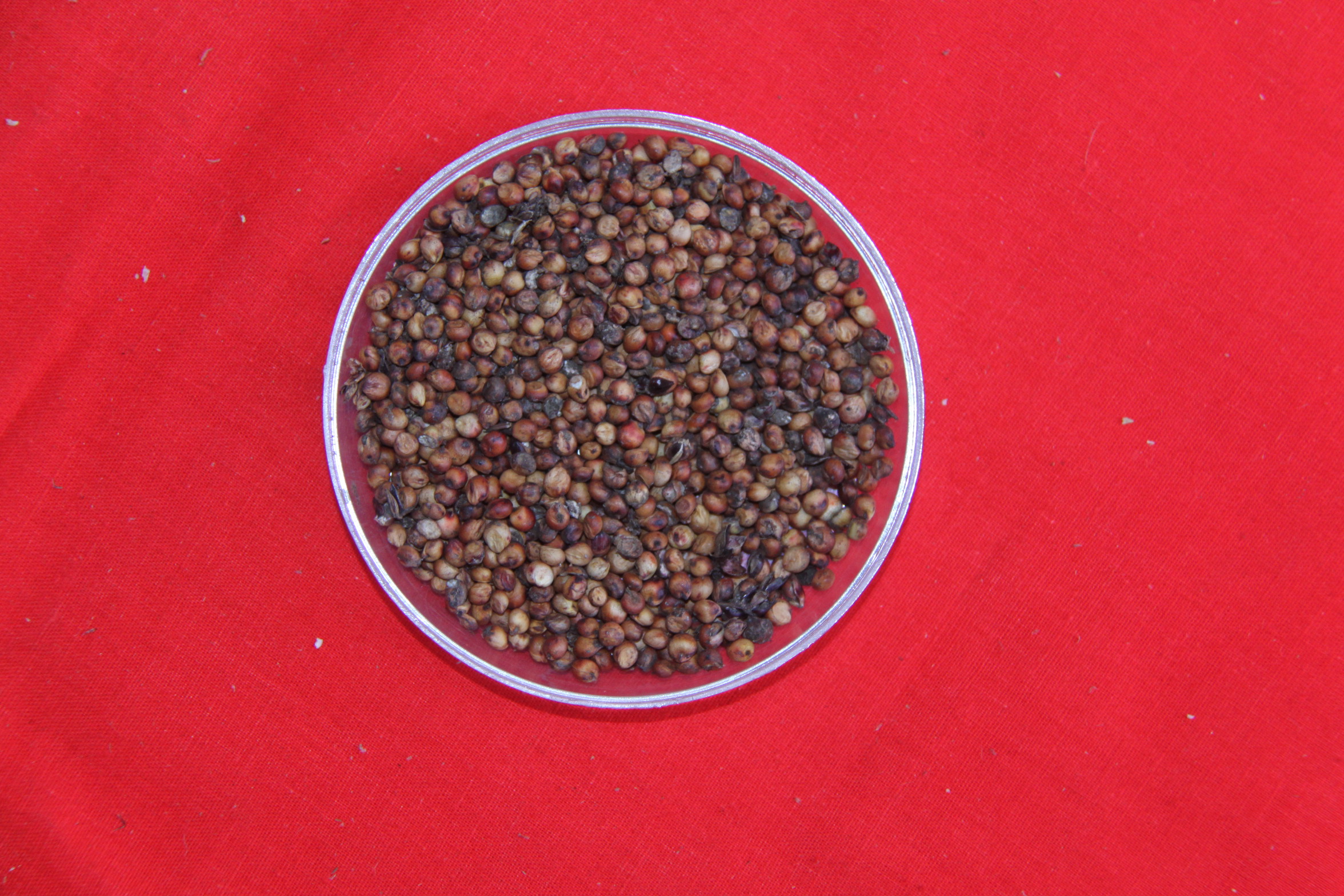 数据库中未找到相应图片