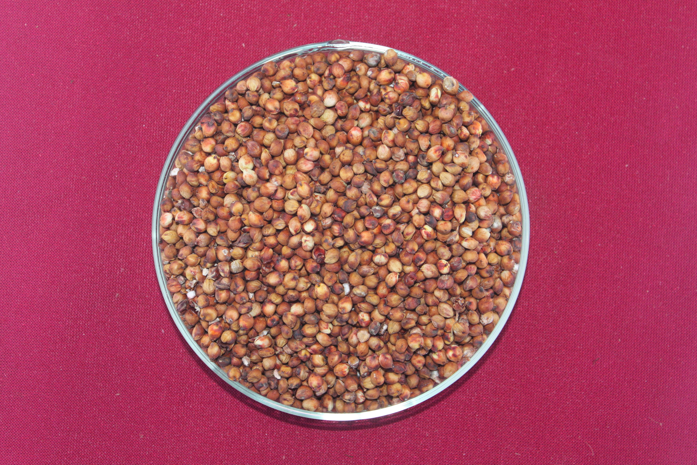 数据库中未找到相应图片