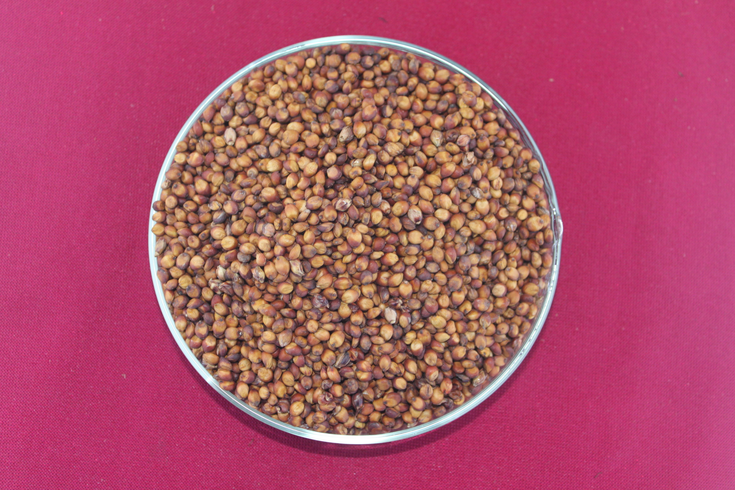 数据库中未找到相应图片