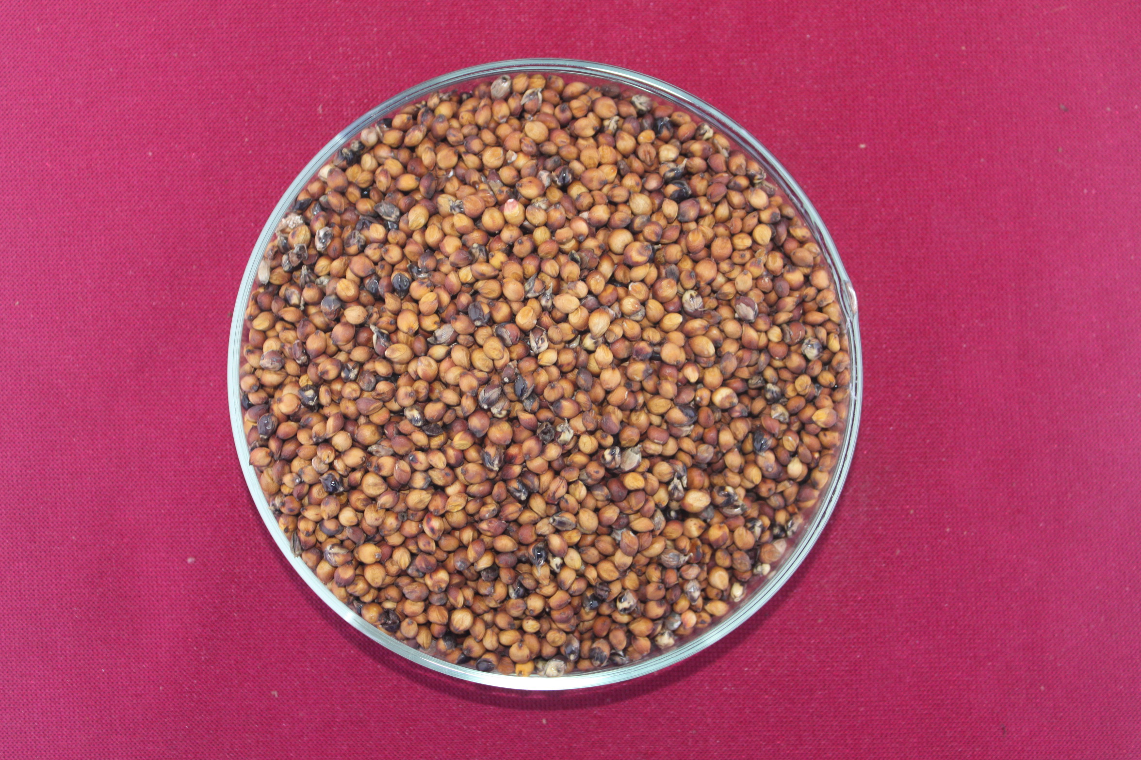 数据库中未找到相应图片